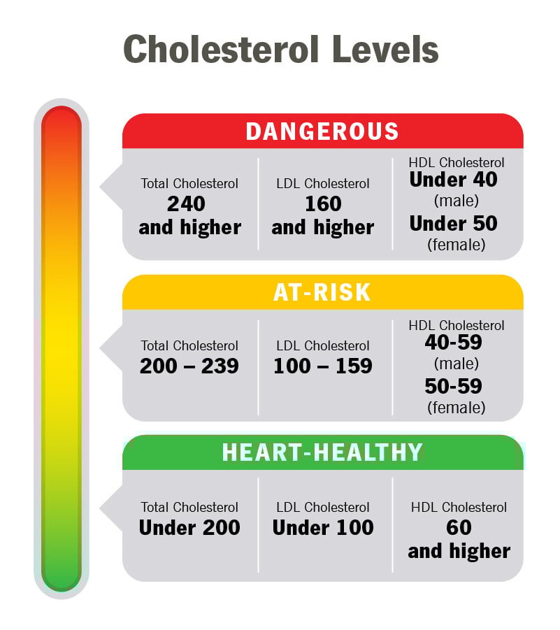 11920-cholesterol-chart
