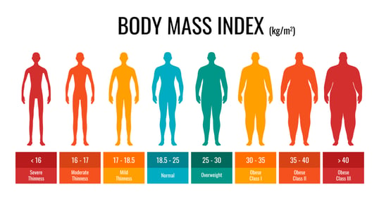 Body Mass Index