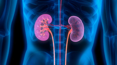 Kidney Disease picture 2-3